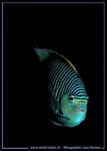 Face to Face..... Que du bonheur... :O)... by Michel Lonfat 